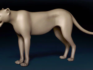 Cheetah Base Mesh 3D Model
