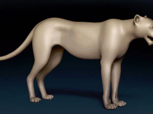 Cheetah Base Mesh 3D Model