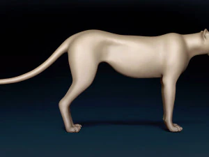 Cheetah Base Mesh 3D Model