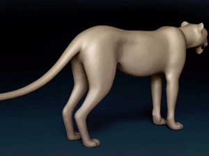 Cheetah Base Mesh 3D Model