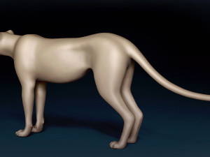 Cheetah Base Mesh Modèle 3D
