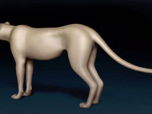 Cheetah Base Mesh 3D Model