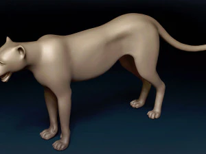 Cheetah Base Mesh 3D Model