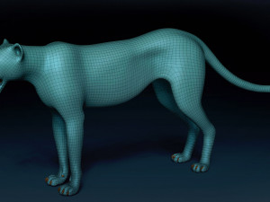 Cheetah Base Mesh Modèle 3D