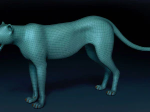 Cheetah Base Mesh 3D Model