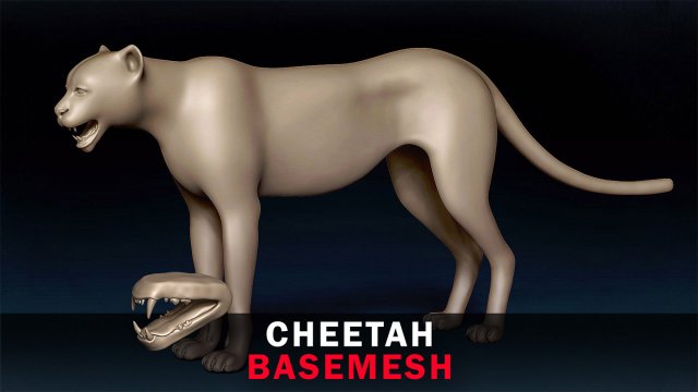Cheetah Base Mesh Modèle 3D .c4d .max .obj .3ds .fbx .stl .blend 