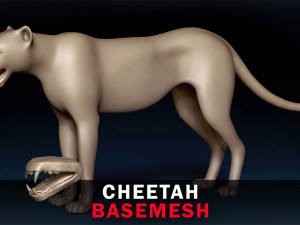 Cheetah Base Mesh 3D Model