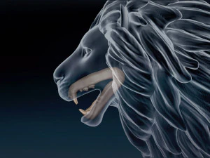 Malha Base Le&atilde;o Modelo 3D