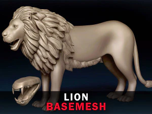 Maglia base leone Modello 3D