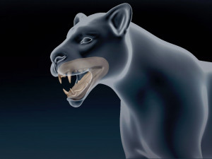Lioness Base Mesh 3D Model