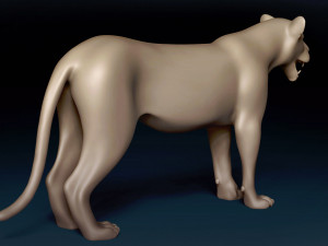 Lioness Base Mesh 3D Model