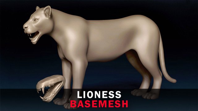 Lioness Base Mesh 3D Model .c4d .max .obj .3ds .fbx .stl .blend 