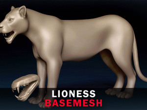Lioness Base Mesh 3D Model