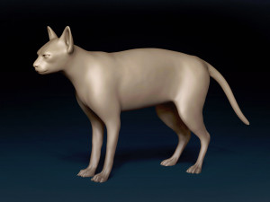 White Sphynx Cat Base Mesh Modelo 3D