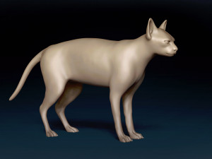 White Sphynx Cat Base Mesh Modelo 3D
