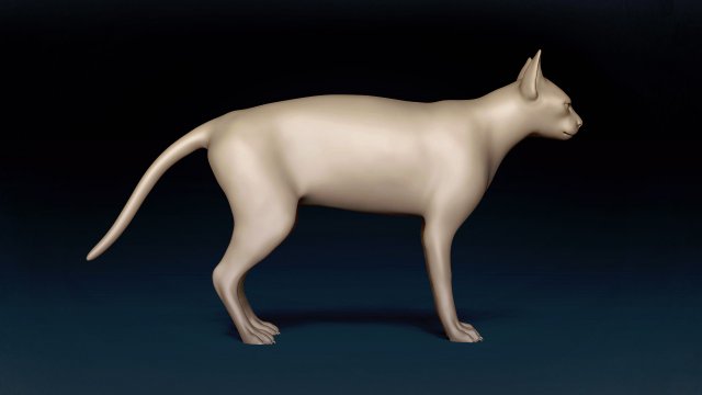 Sphynx white online