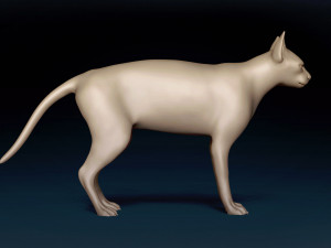 White Sphynx Cat Base Mesh Modelo 3D