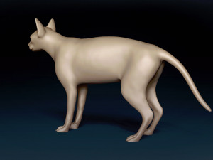 White Sphynx Cat Base Mesh Modelo 3D