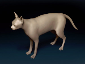 White Sphynx Cat Base Mesh Modelo 3D