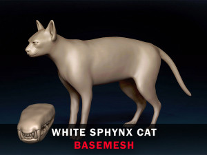 White Sphynx Cat Base Mesh 3D Model