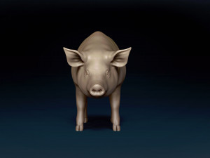 Pig Base Mesh 3D Model