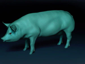 Siatka bazowa dla świń Model 3D