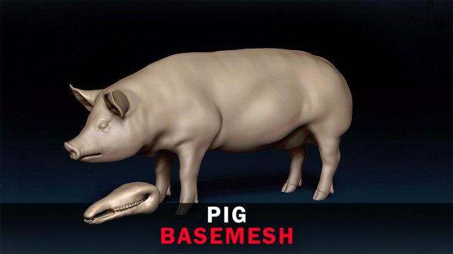 Pig Base Mesh 3D Model .c4d .max .obj .3ds .fbx .stl .blend 