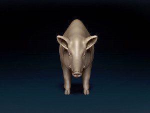 WildBoar Base Mesh 3D मॉडल