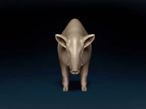 WildBoar Base Mesh 3D Model