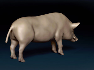 WildBoar Base Mesh 3D मॉडल