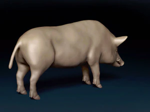 WildBoar Base Mesh 3D Model