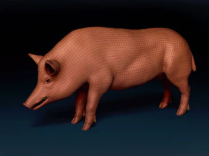 WildBoar Base Mesh 3D Model