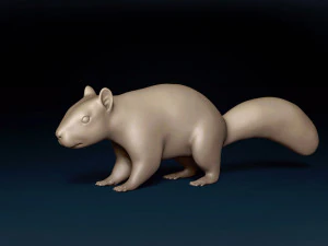 Squirrel Base Mesh 3D Model