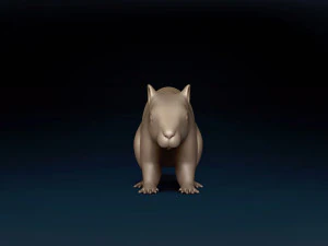 Squirrel Base Mesh 3D Model