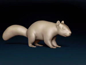 Squirrel Base Mesh 3D Model