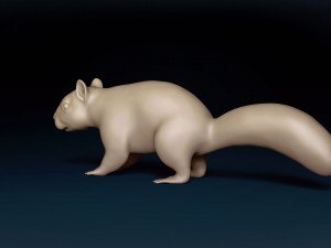 Squirrel Base Mesh Modelo 3D