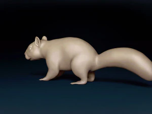 Squirrel Base Mesh 3D Model