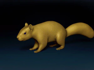Squirrel Base Mesh 3D Model