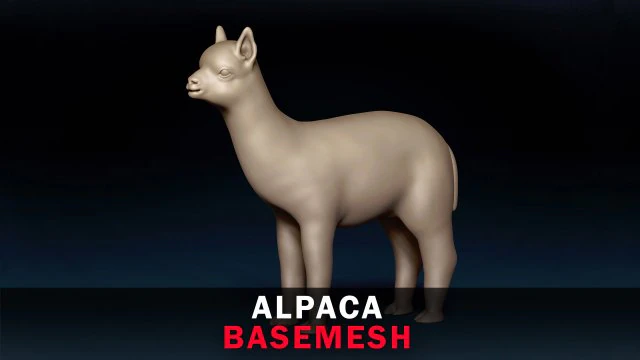 Malha Base Alpaca Modelo 3D .c4d .max .obj .3ds .fbx .stl .blend 