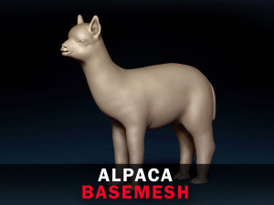 Alpaca Base Mesh 3D Model