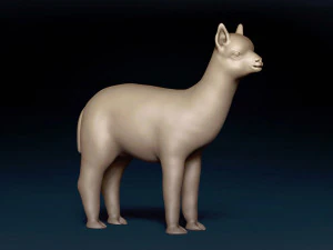 Malha Base Alpaca Modelo 3D
