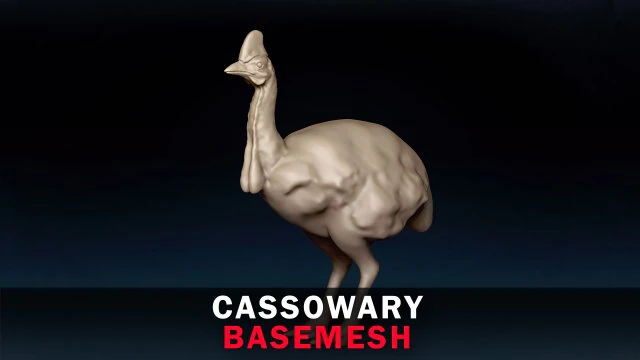 Cassowary Base Mesh 3D Model .c4d .max .obj .3ds .fbx .stl .blend 