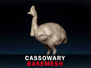 Cassowary Base Mesh 3D Model