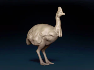 Cassowary Base Mesh 3D Model