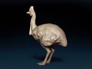 Cassowary Base Mesh 3D Model