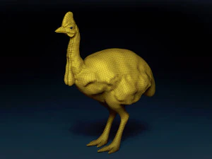 Cassowary Base Mesh 3D Model