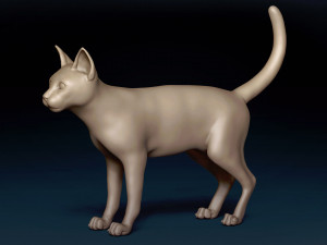 Abyssinian Cat Base Mesh Modelo 3D