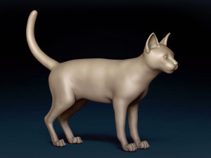 Abyssinian Cat Base Mesh Modelo 3D