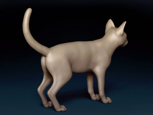 Abyssinian Cat Base Mesh Modelo 3D