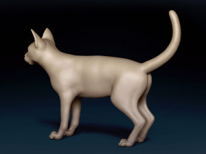 Abyssinian Cat Base Mesh Modelo 3D